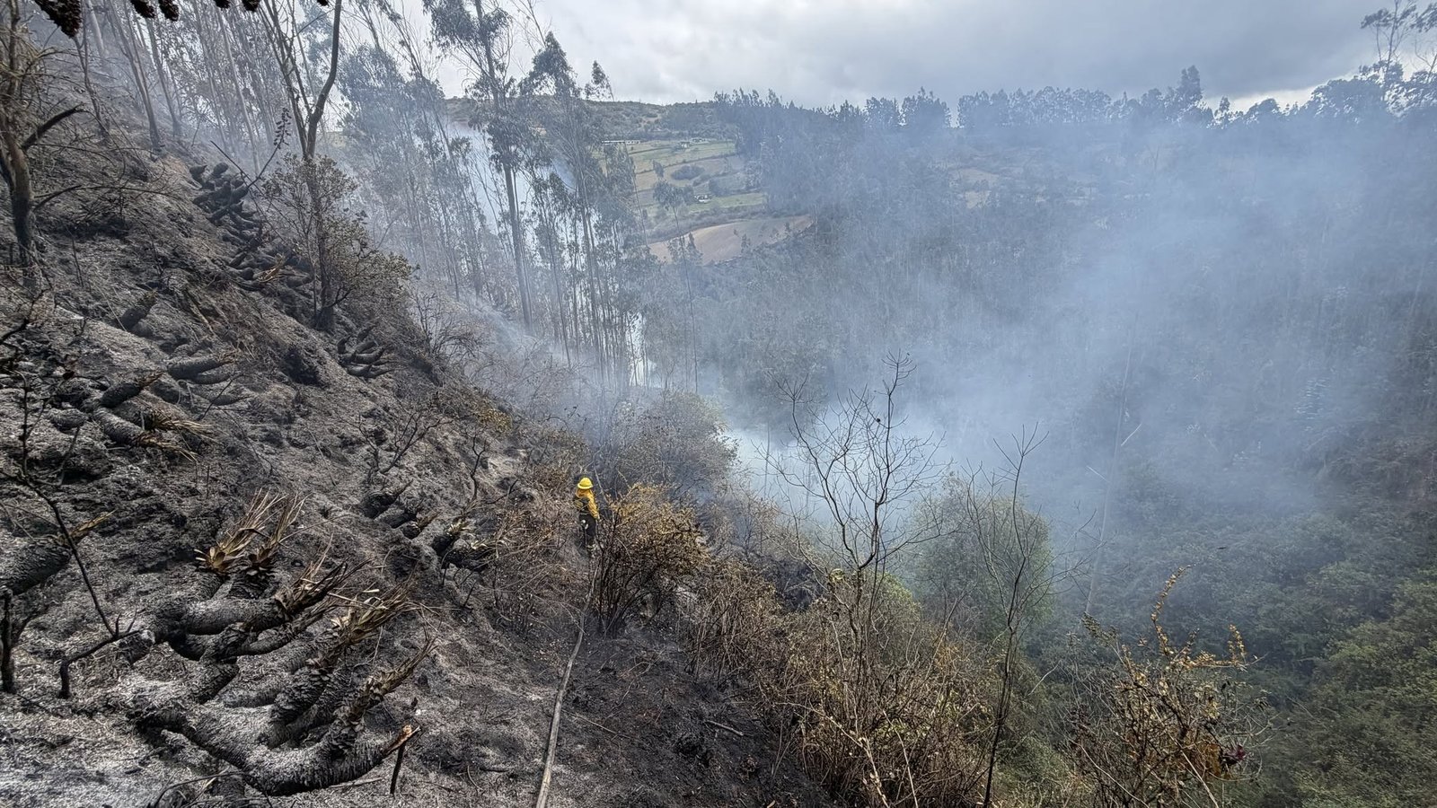 Bomberos Ipiales