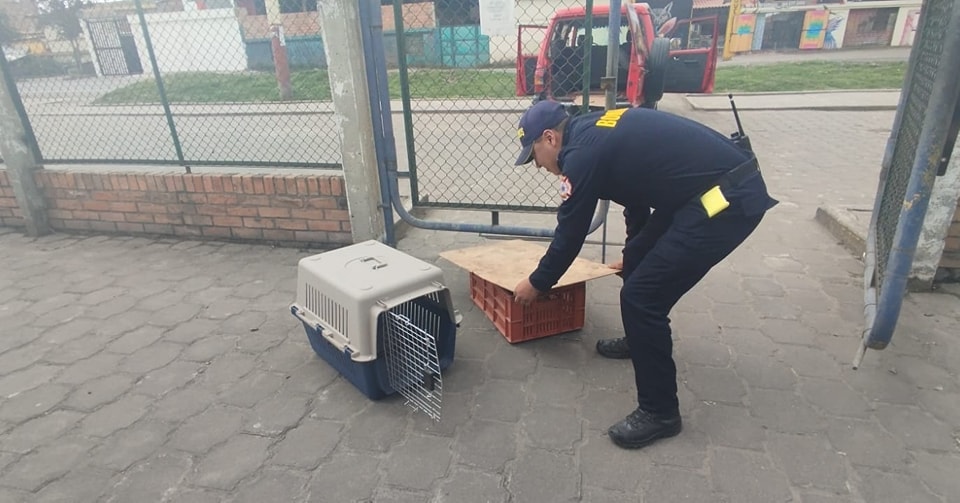 Bombero Ipiales