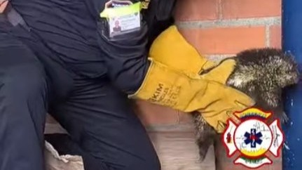 Bomberos Ipiales