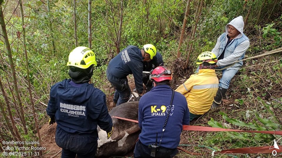 Bomberos Ipiales