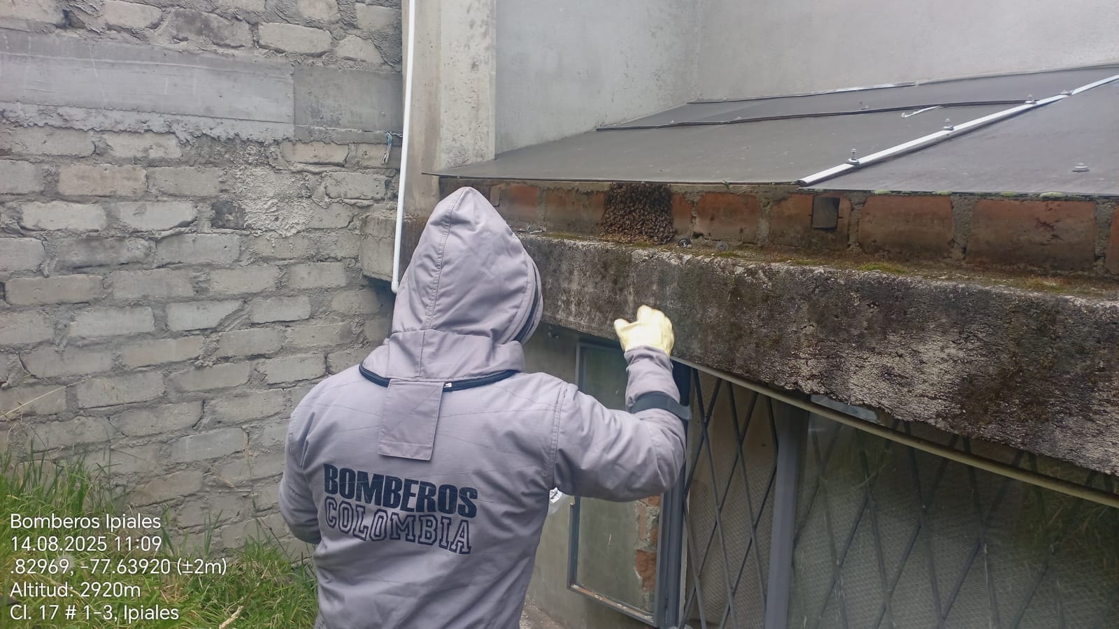 control de abejas Bombero Ipiales