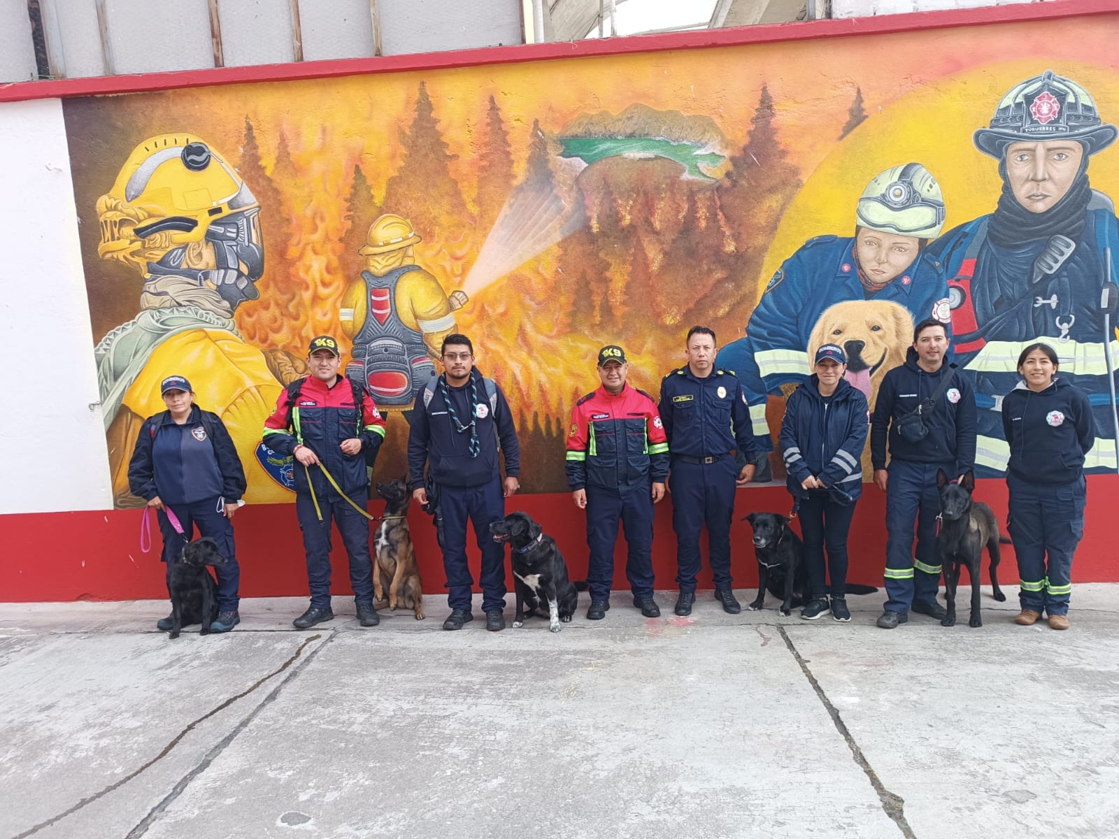 K9 Bombero Ipiales